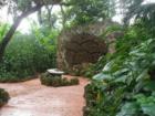 Pinecrest Gardens has tranquil pathways