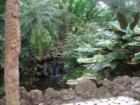 A lovely setting in Pinecrest Gardens.