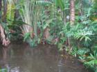 Peaceful water feature at Pinecrest Gardens