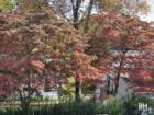 Oradell in the Fall in Bergen County New Jersey