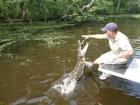 Swamp tour in laplace.