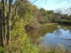 Seatuck Creek Tributary to the South Shore Estuary - Town of Southampton