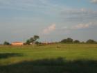 rural seguin