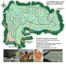 The Preserve at Mountaintown Creek in Ellijay, Georgia.
      
      Provided by GA-agent.com