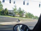 Massapequa New York 11758 