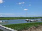 Moss Creek Views