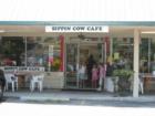 Kids Love the Sippin Cow in Historic Bluffton