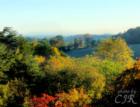 View of Richland Valley and Rutledge, TN from Poor Valley Knobs.  Smoky Mountains visible in the far distance. 