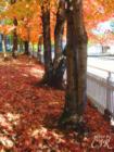 Friendship Park. Hwy 11w (Rutledge Pike) is just on the other side of the picket fence.