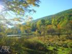 A pond at the foot of Clinch Mountain in Poor Valley, Rutledge, TN.