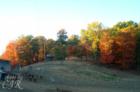 Sunlight blasts the fall foliage at a goat farm on Knob Rd., off Hwy 92, Rutledge, TN.  