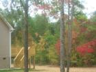 Fall Foliage in your future back yard.