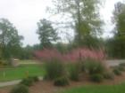 Beautiful Landscaping both public and private throughout Smith Creek