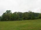 Middlesex where the GREEN Grass grows