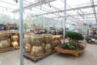Montgomery Gardens, Route 206, Montgomery NJ
