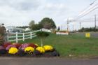 Montgomery Gardens, Route 206, Montgomery NJ