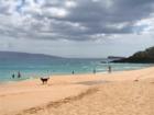 North end of Makena Big Beach