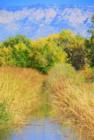 Corrales Acequia. www.WelcomeHomeABQ.com
