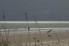 Ponce Inlet. The dunes