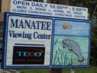 Manatee viewing center at TECO's Big Bend Power Station in Apollo Beach