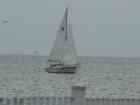 Sail Boat in Apollo Beach