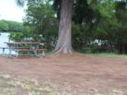 Perfect Picnic at E.G Simmons Park