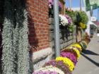 City Street in Kalona, IA