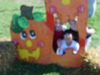 Bloomsbury Farm Pumpkin Patch Pictures