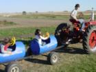 Bloomsbury Farm Pumpkin Patch Pictures