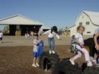 Bloomsbury Farm Pumpkin Patch Pictures