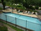 Pool overlooking Barton Springs at Talisman condos (near Zilker Park, which is like Austin's Central Park).