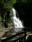 Bushkill Falls