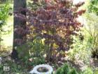 Oradell New Jersey in Bergen County