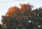 Pascack Valley Hillsdale in the Fall of Bergen County New Jersey