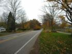 Autumn Scenery on Ada Drive
