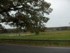 Mitre field off 62