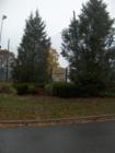 Simonds Park main entrance