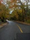 Mill Street looking down towards Rehanis Park