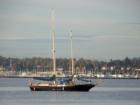 Sailboat on Bellingham Bay. Photo taken by Ryan Martin