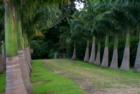 North Hilo area property entrance.