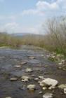 Ar11933472906203_l
