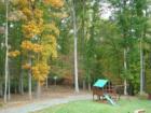 Yard View in Ivy