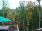 Deck View in Ivy