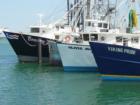 Fishing Boats Hampton Bays