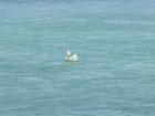 two men in a boat
