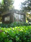 Magnolia Plantation