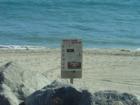 Welcome to the Santa Monica Beach - Dominic Naidoo Santa Monica Real Estate Expert