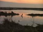 Port Aransas Birding Center