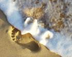 footprint in the surf