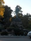 Statue at Mass Ave and Bedford St